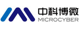 MicroCyber_logo